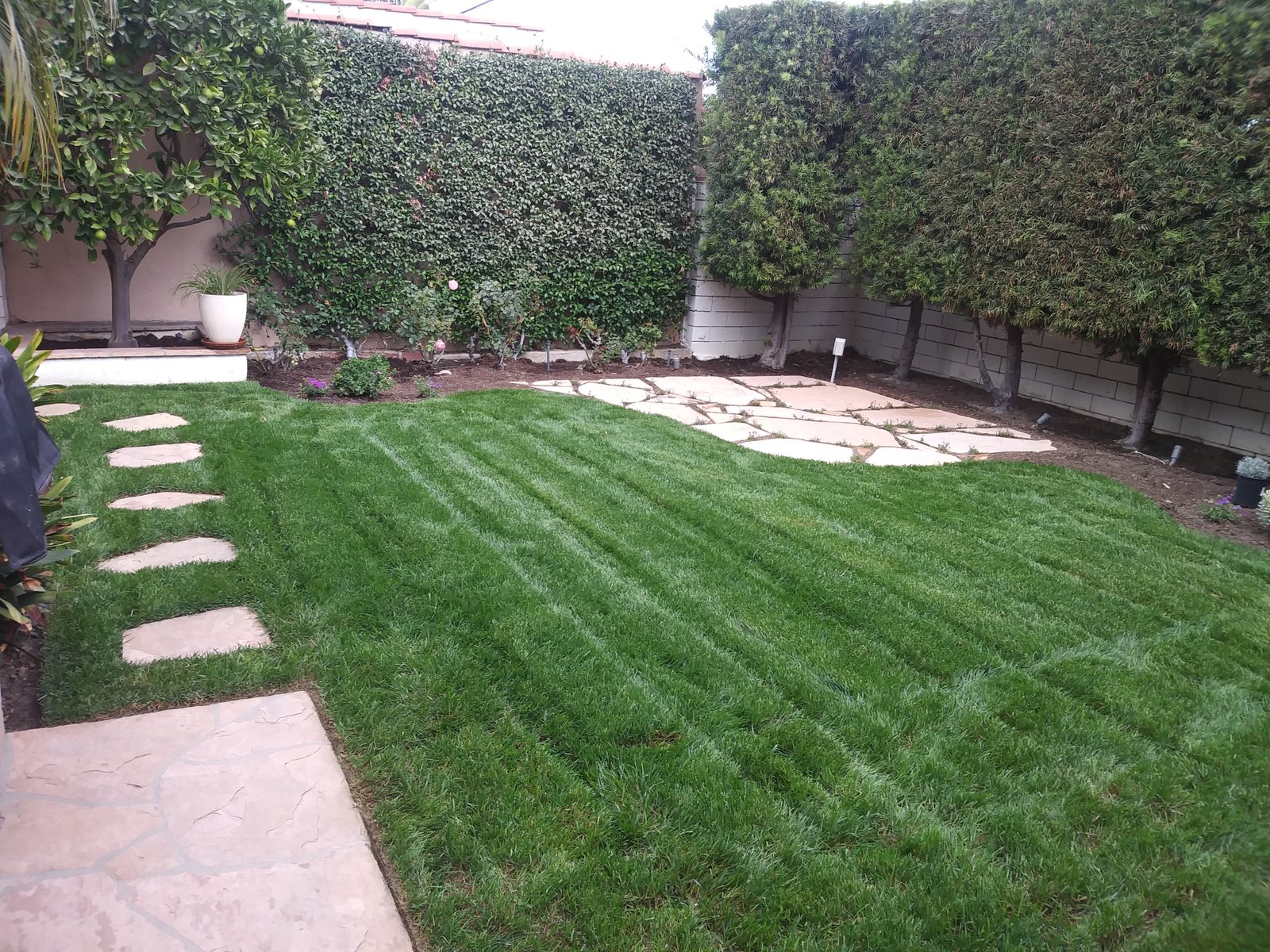 flagstone